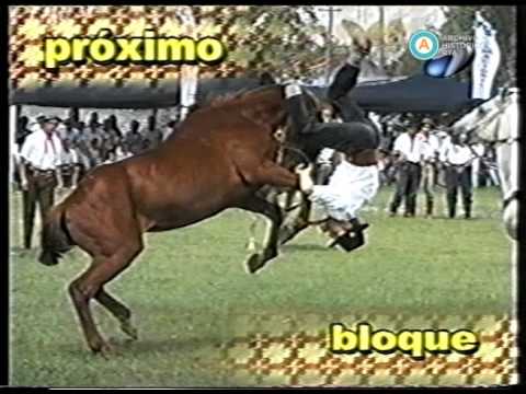 Jineteando, 21-10-2001