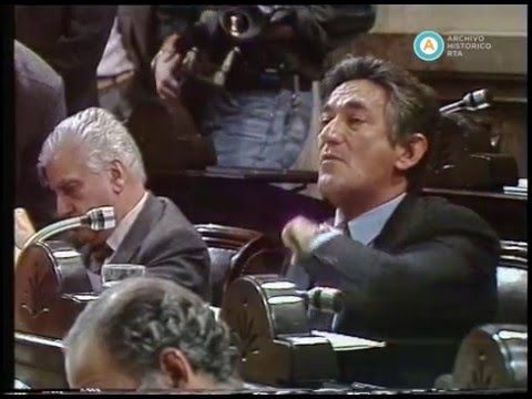 [Debate por proyecto de reforma constitucional: Rodríguez Saa]